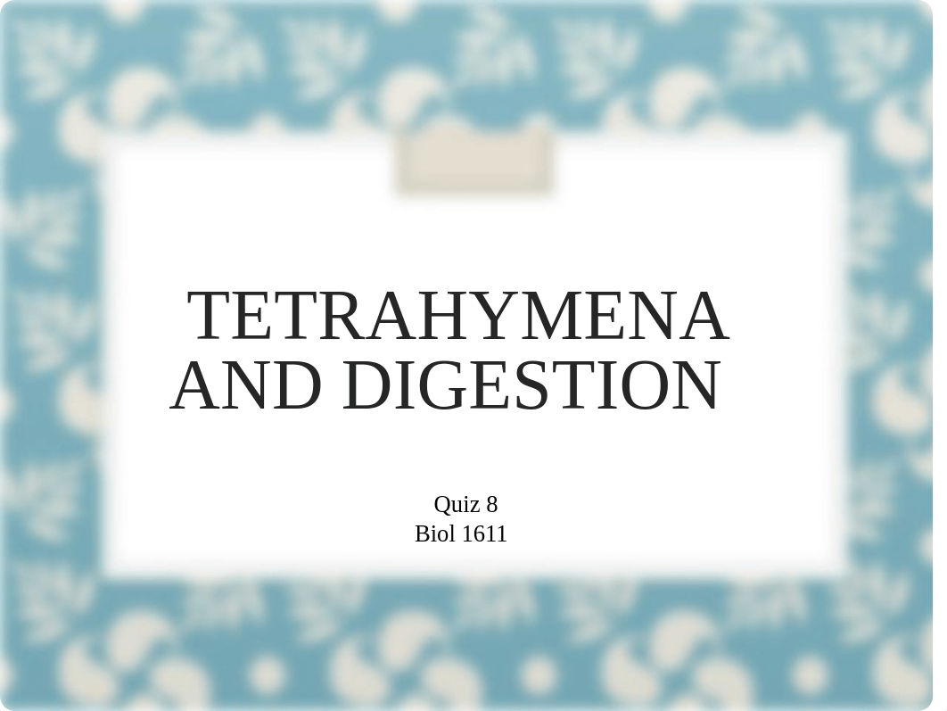 Quiz 8 Tetrahymena Fall 2019.ppt_dbgj328qaoy_page1