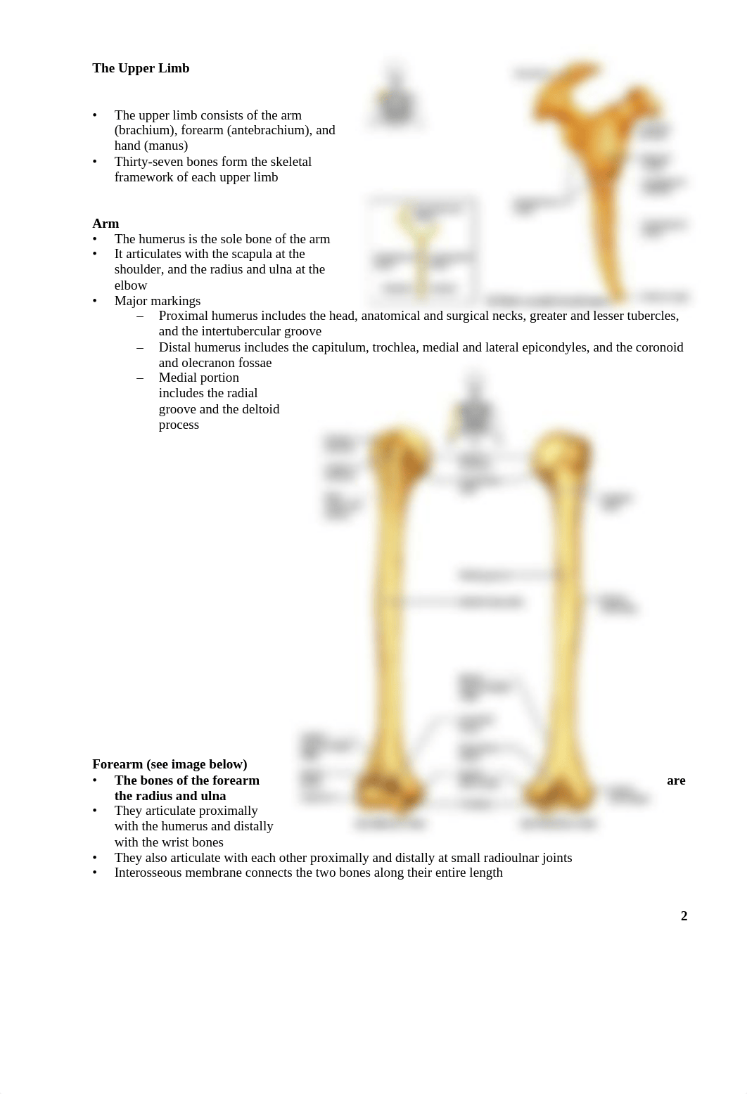 BIO_2113_Lab_3_Appendicular_Skeleton_not_dbgjaedju0g_page2