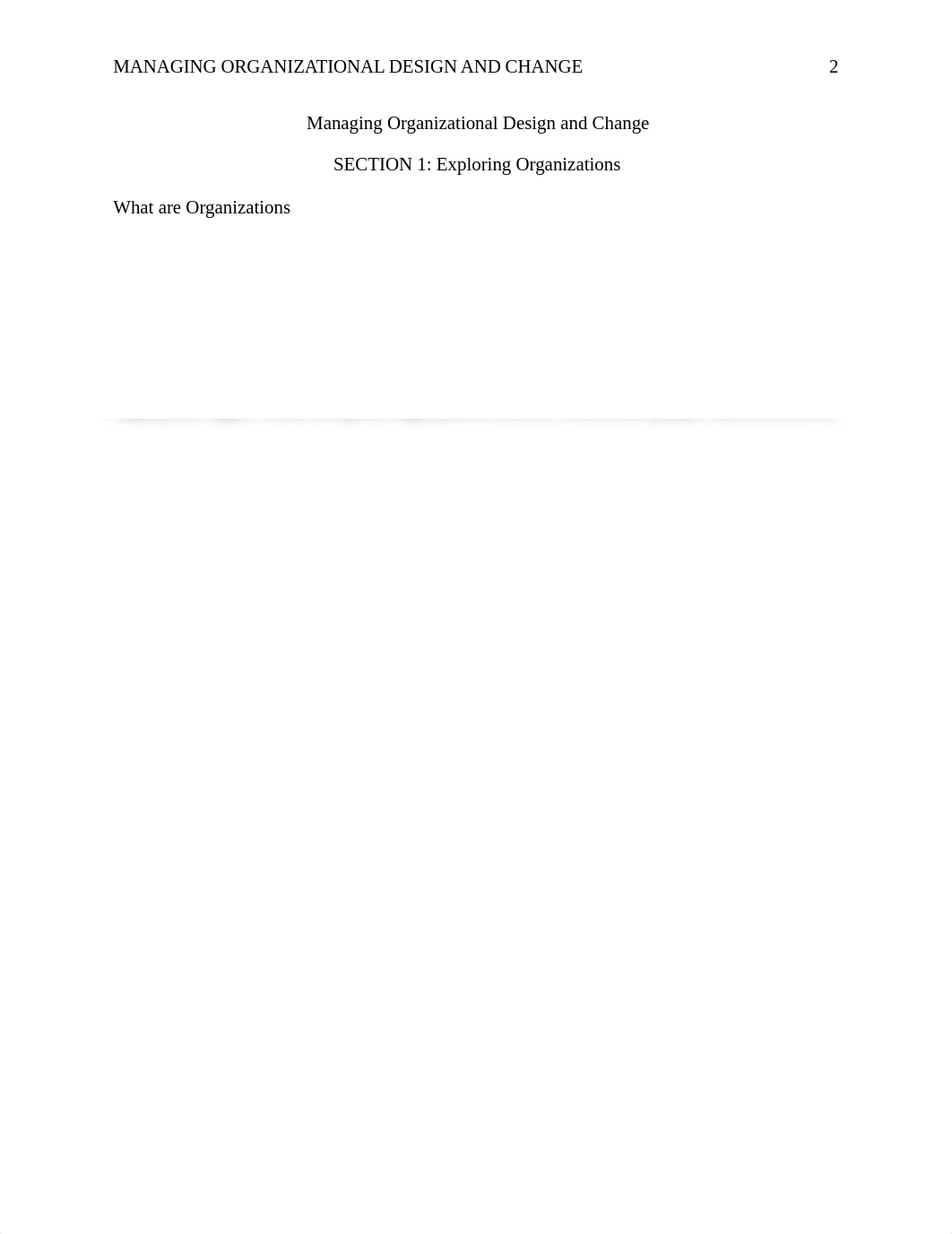 ORGANIZATION DESIGN.docx_dbgjxa70fti_page2