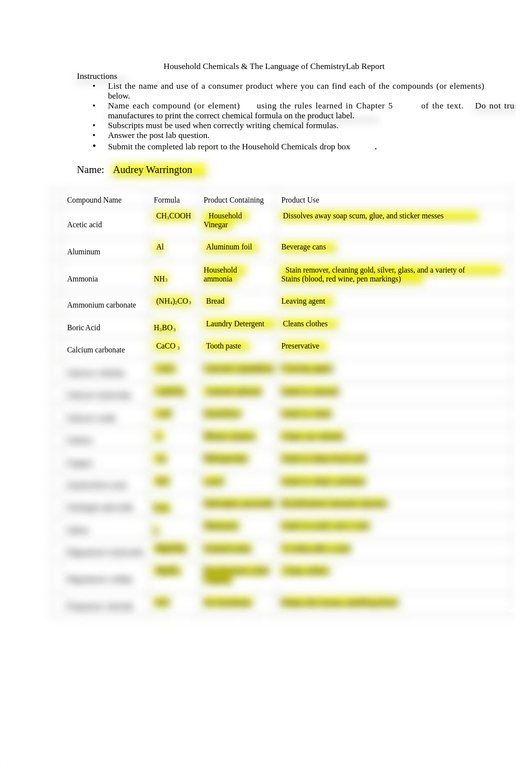 Lab 4 - Household Chemicals.docx_dbgluqsoq0n_page1