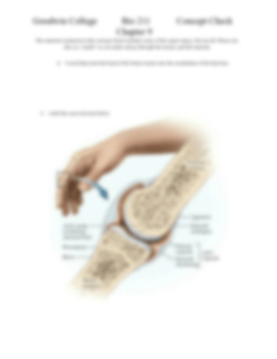 Chapter 9 Concept Check BIO211(1).docx_dbgr7np1d27_page3