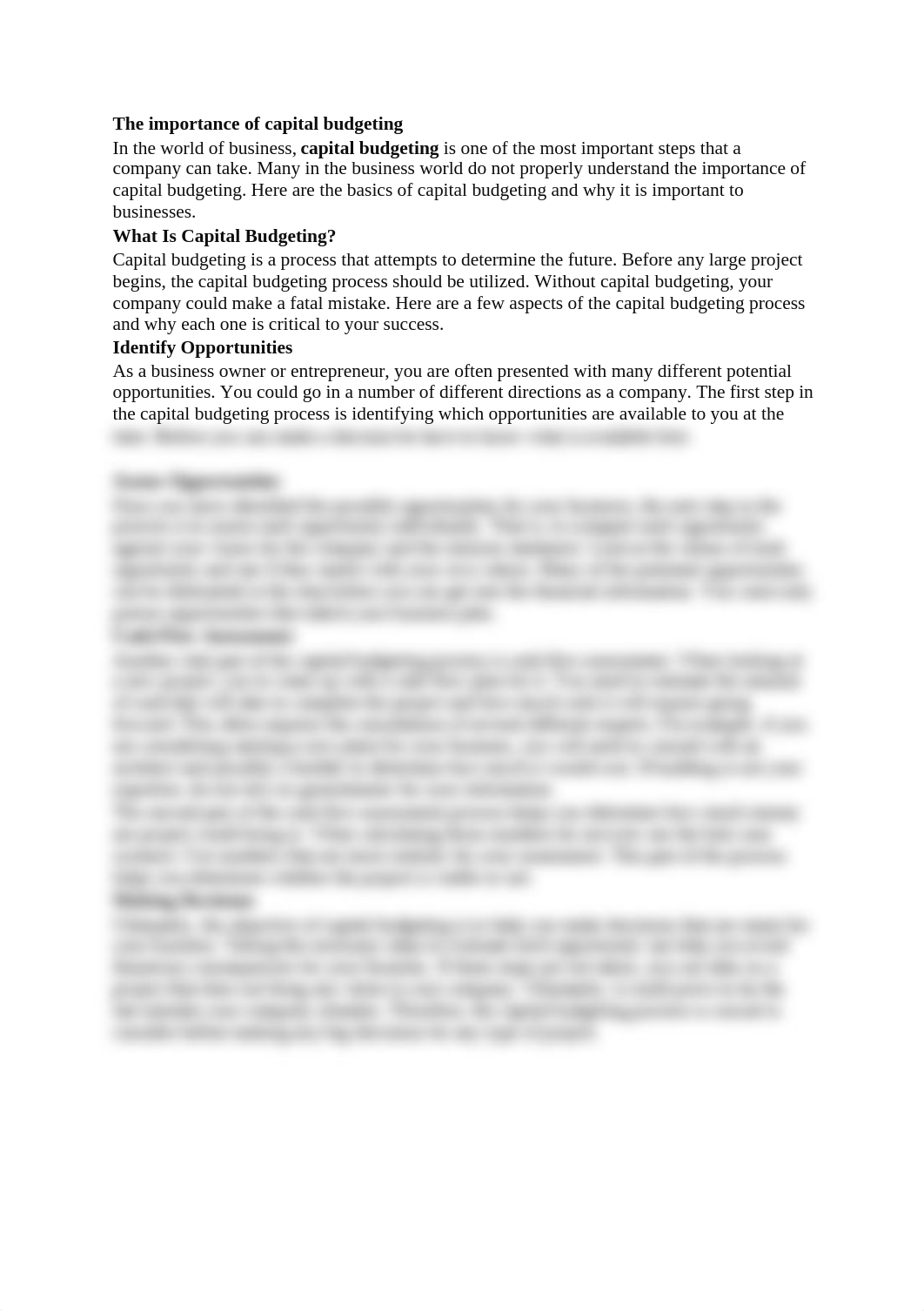 The importance of capital budgeting_dbgtj3dt6k4_page1