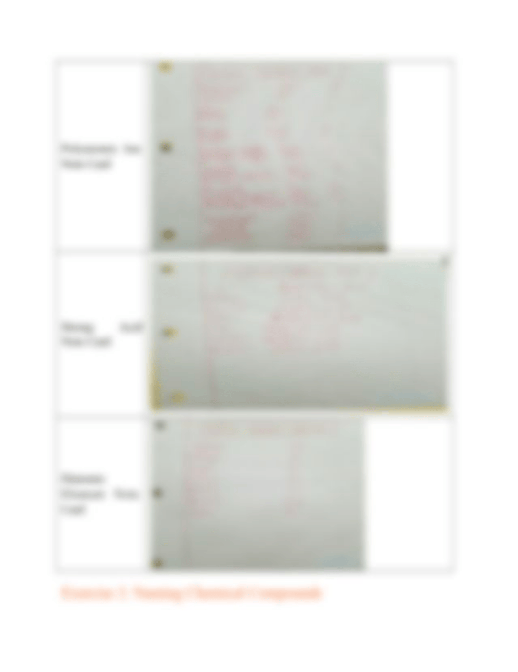 Naming Ionic and Molecular Compounds.docx_dbgw7klnwjq_page3