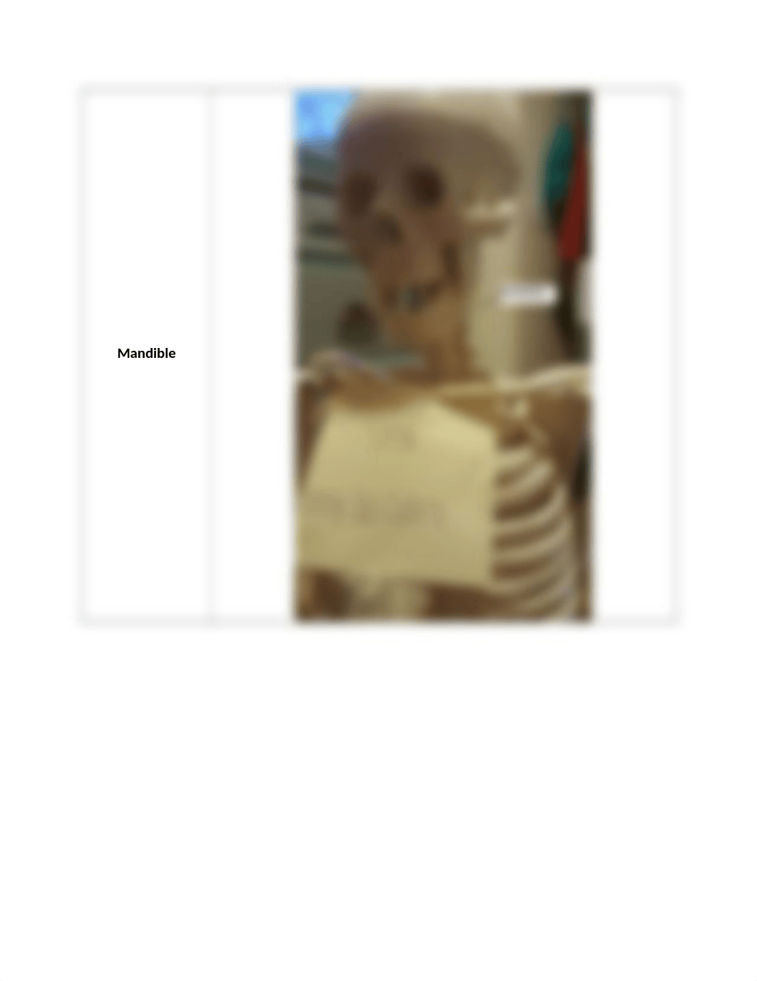 SkeletalHOL.JessicaSelf_dbh0ux9ffr0_page4