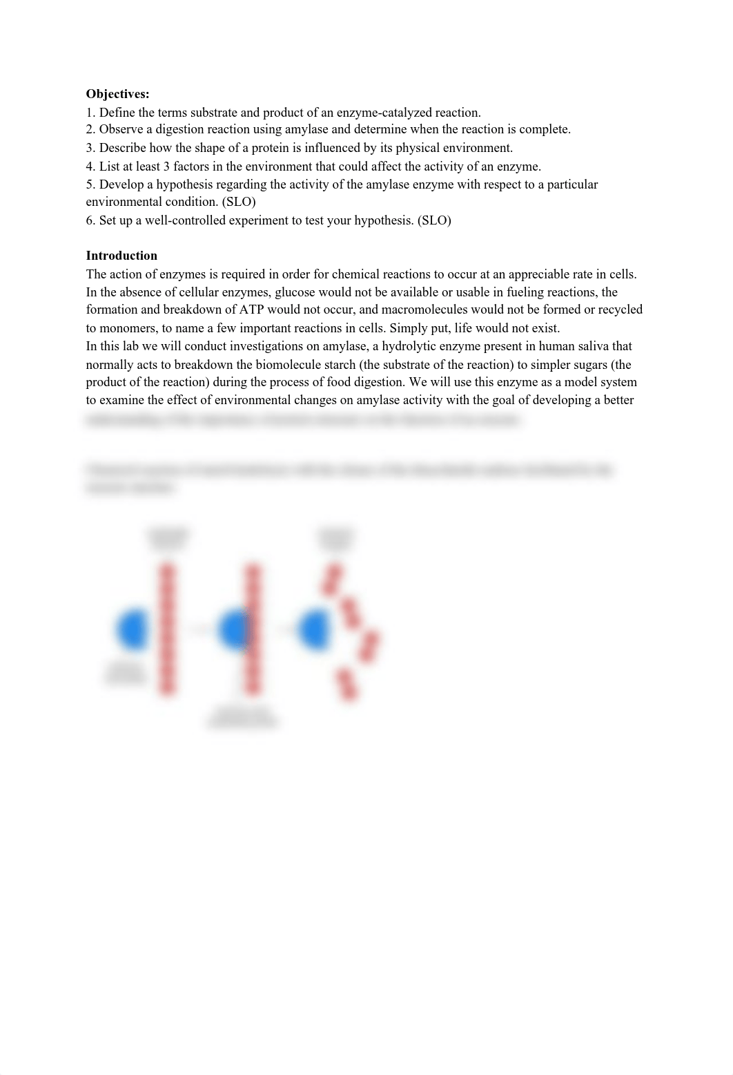 Lab Enzyme Action - Part I- Rosalinda Craig.pdf_dbha1z9uo9a_page2