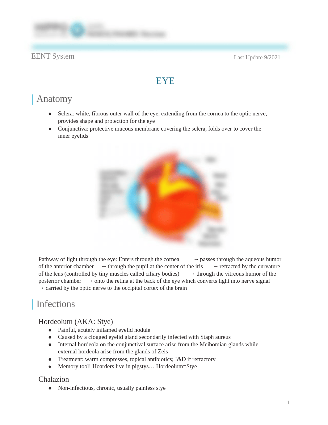 hippo summaries merged.pdf_dbhaut76fbb_page1