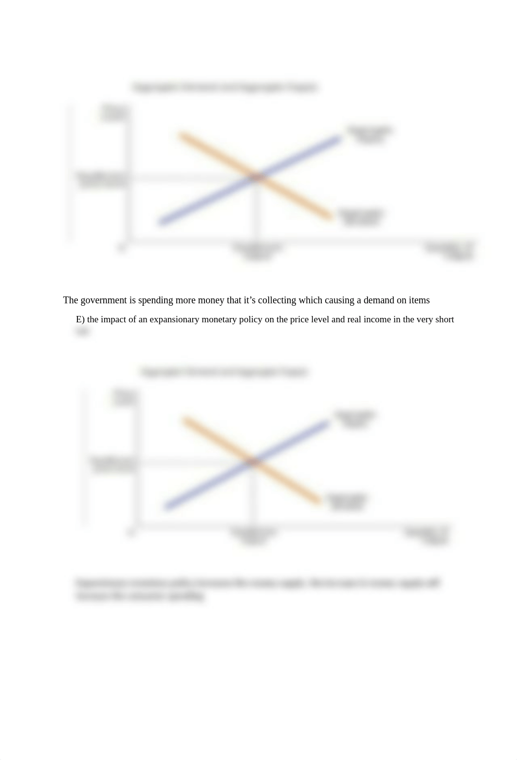 ECON homework #5.docx_dbhinyg3imh_page3