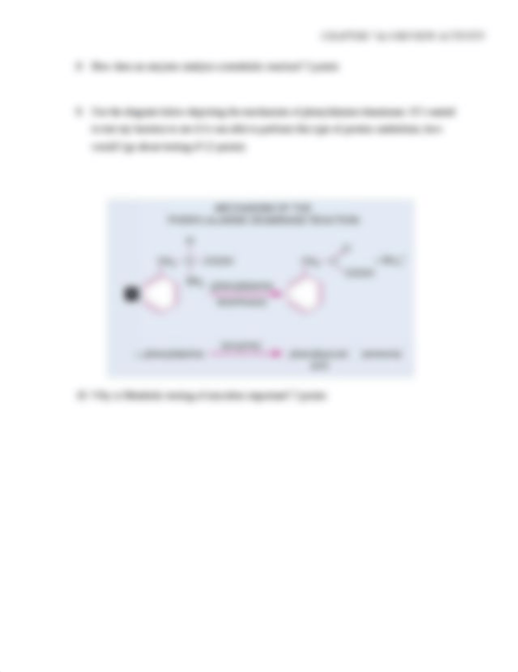 Chapter 7 and 8 Review Activity.docx_dbhn9g9o8ev_page2