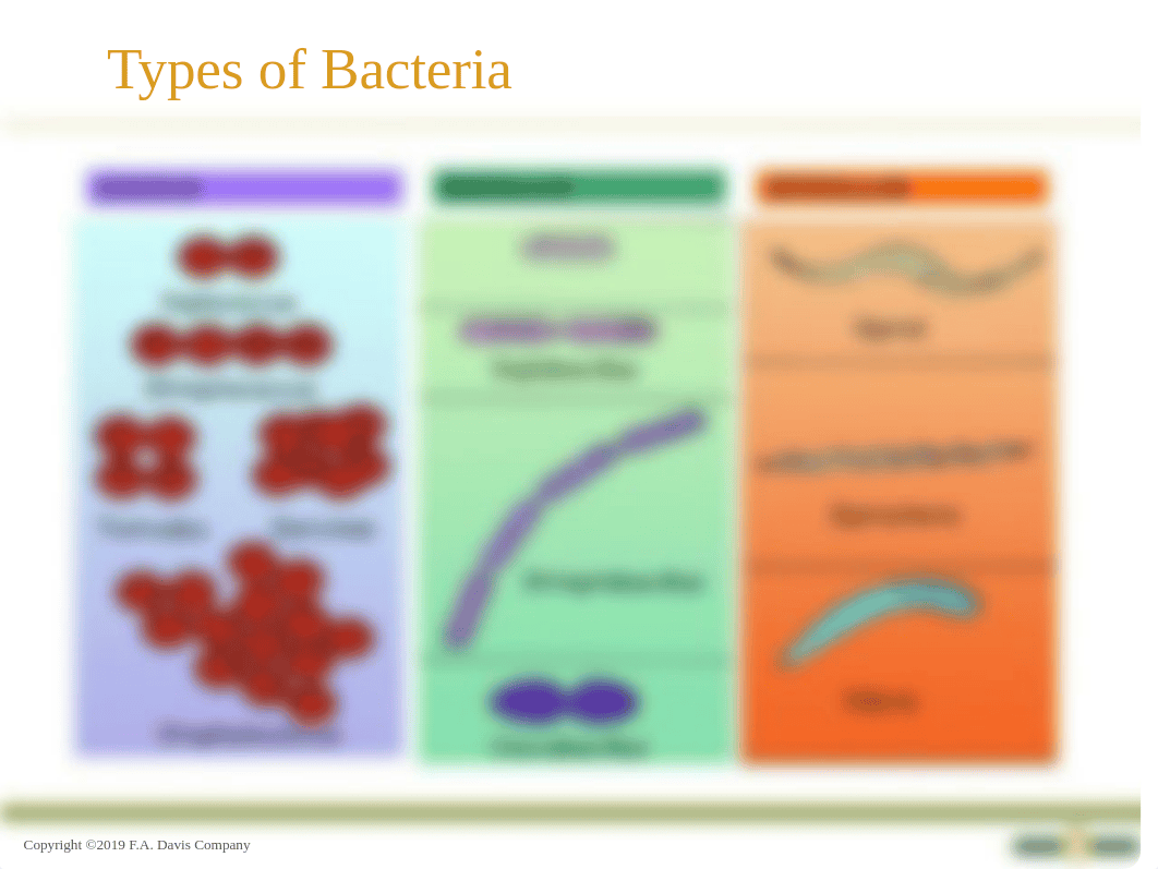 CH 14 Medical asepsis and infection control.pptx_dbhu5hi7hw4_page5