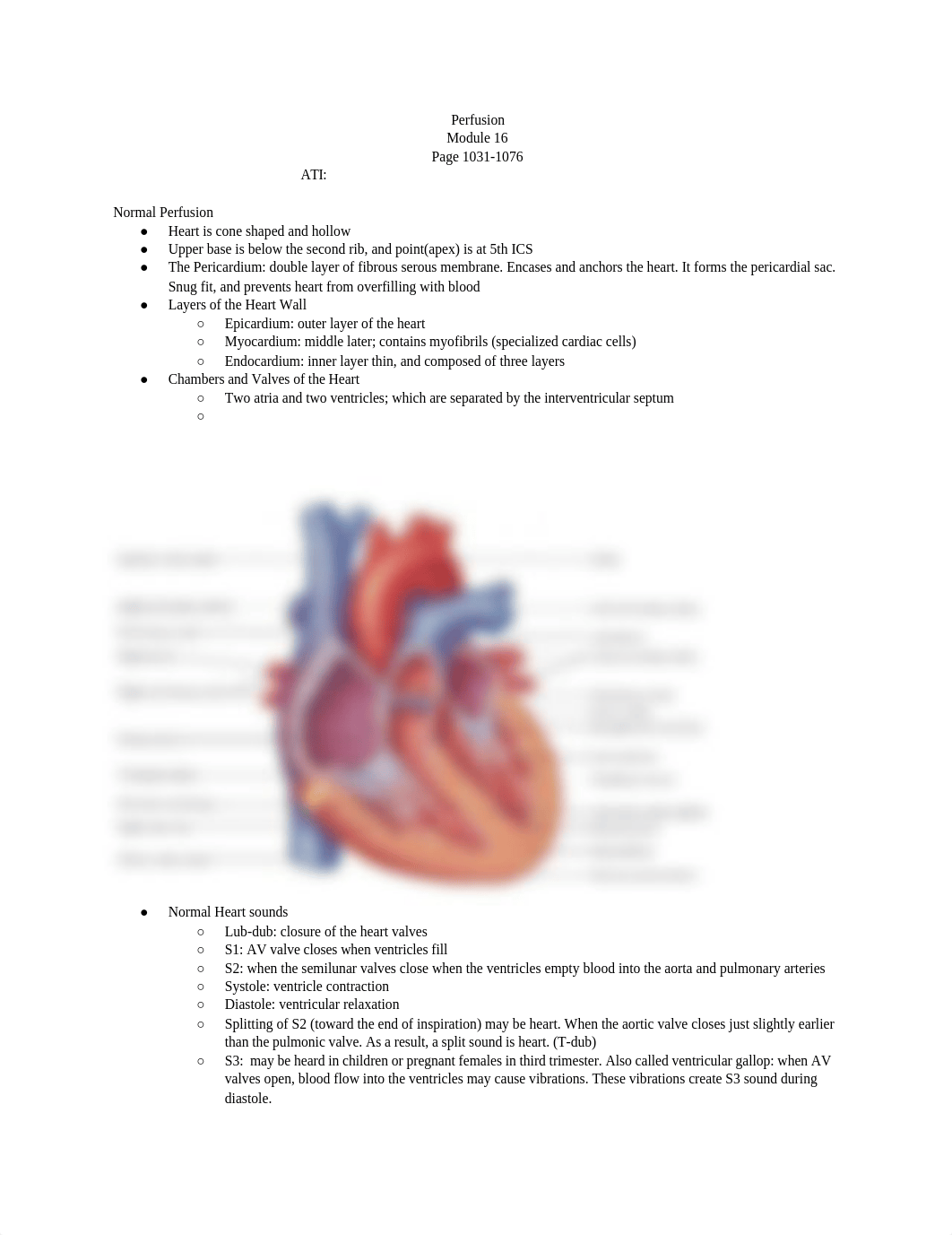 The Concept of Perfusion.docx_dbi4s8atbz7_page1