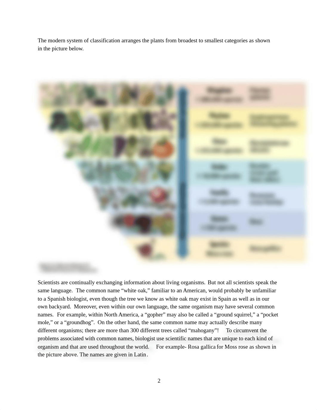 Classification Lab for Bio-103 Spring 2020-1.docx_dbigqn07a1c_page2