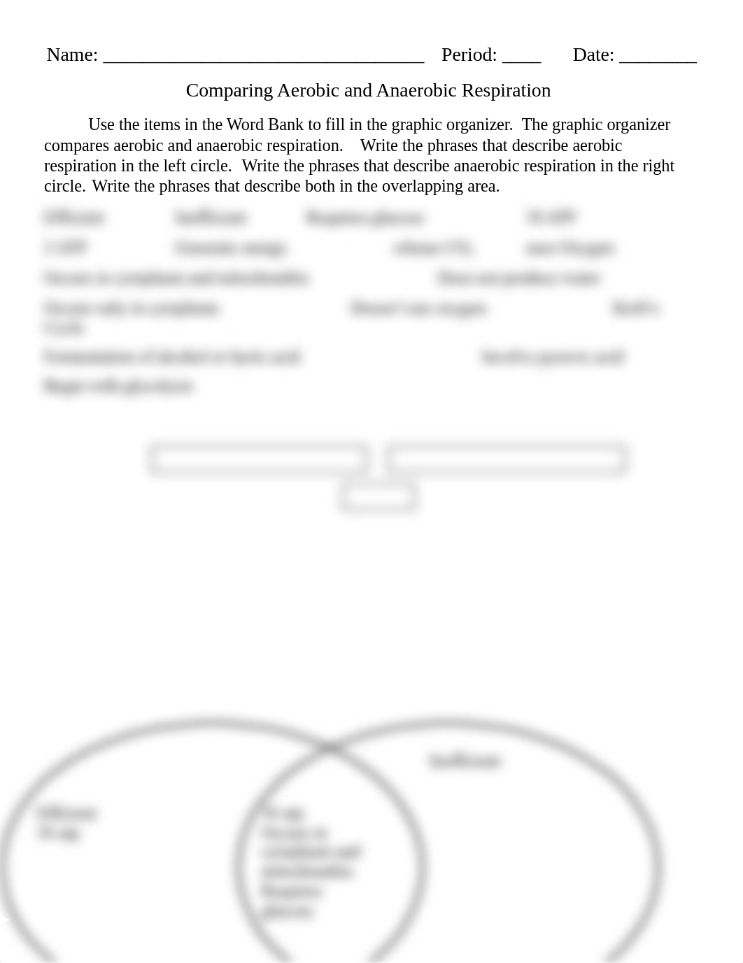 Aenarobic and Aerobic Venn Diagram.docx_dbis3ire1qy_page1