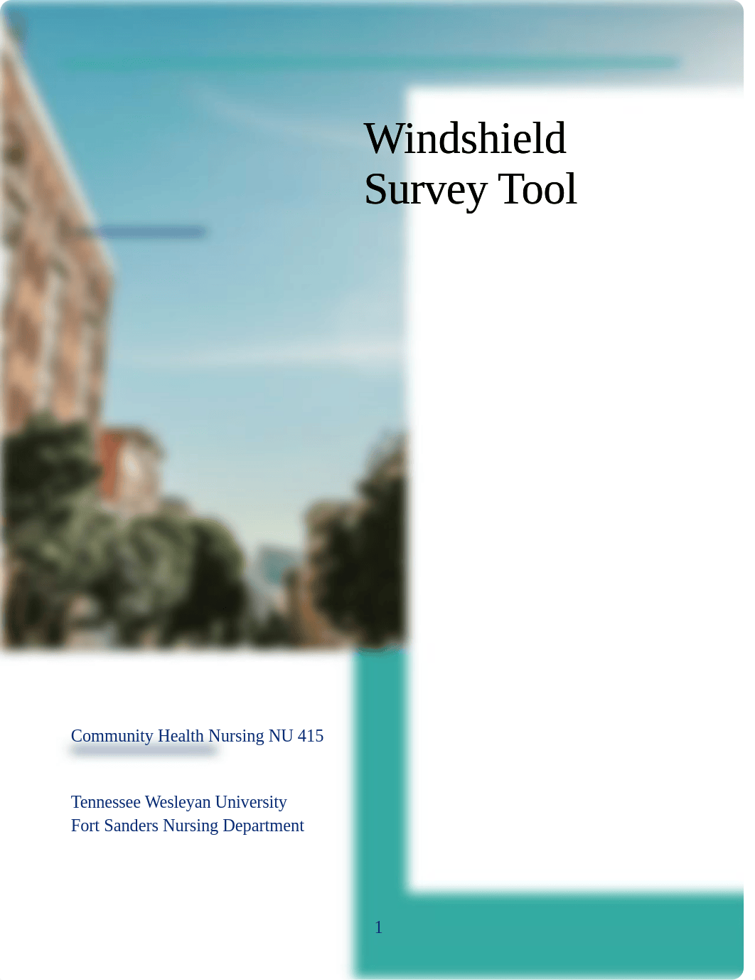 WINDSHIELD SURVEY FINAL.docx_dbit3jizwhe_page1