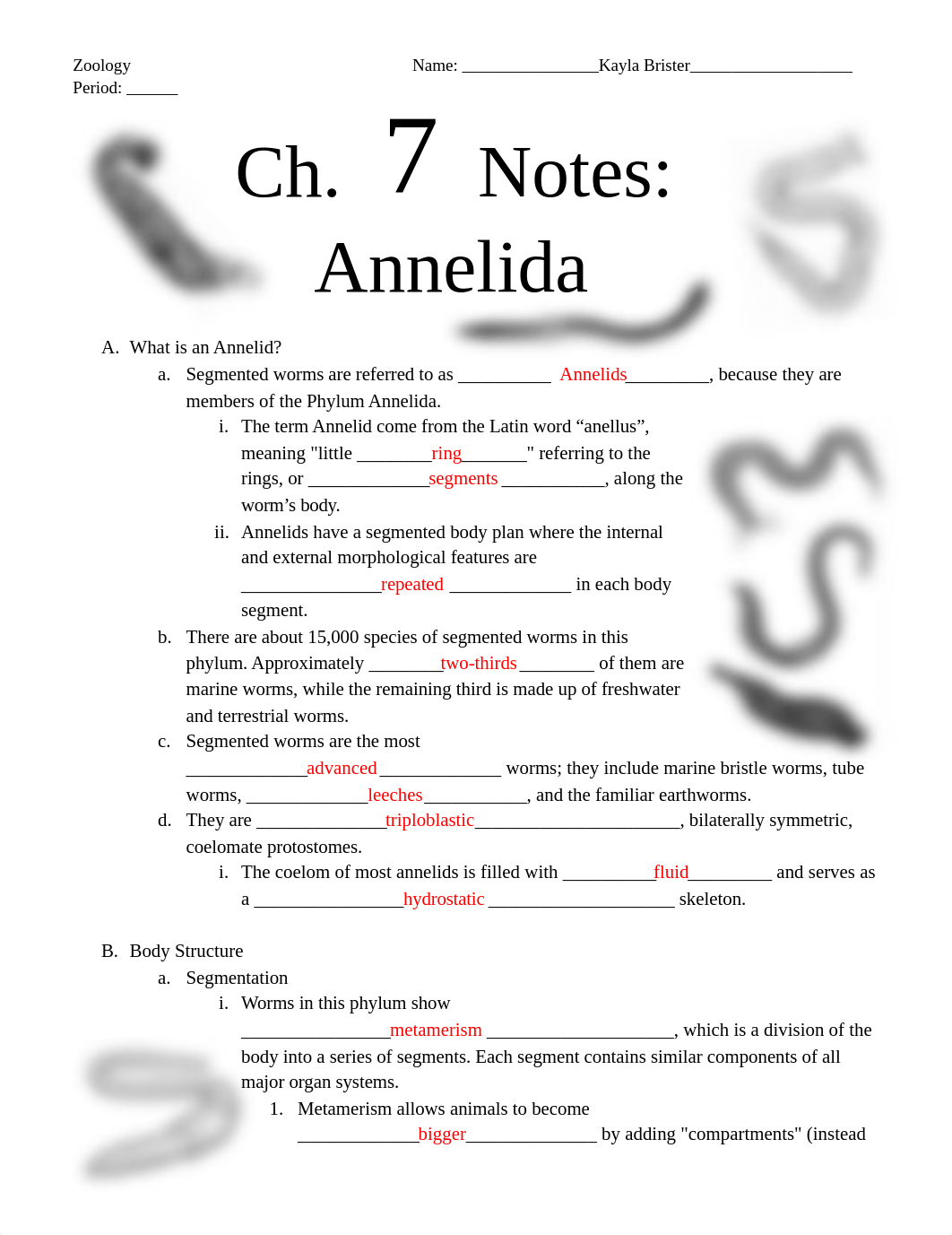 7 _ Annelid Notes _ student handout.docx_dbjmdvo1x1n_page1