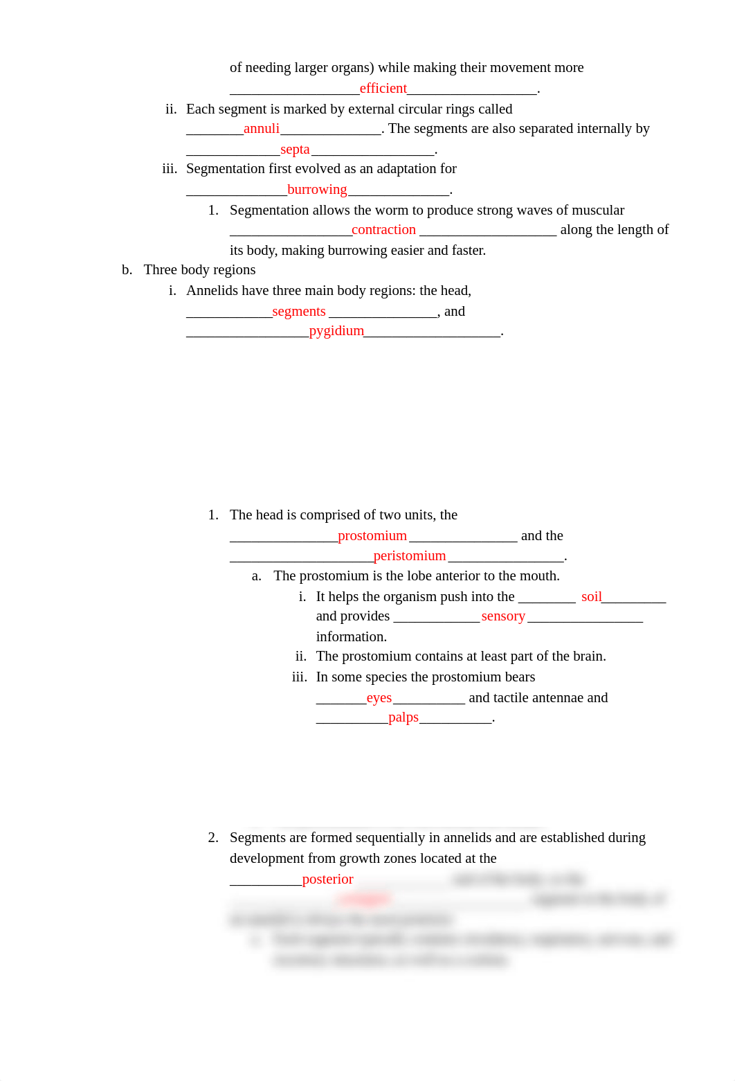 7 _ Annelid Notes _ student handout.docx_dbjmdvo1x1n_page2