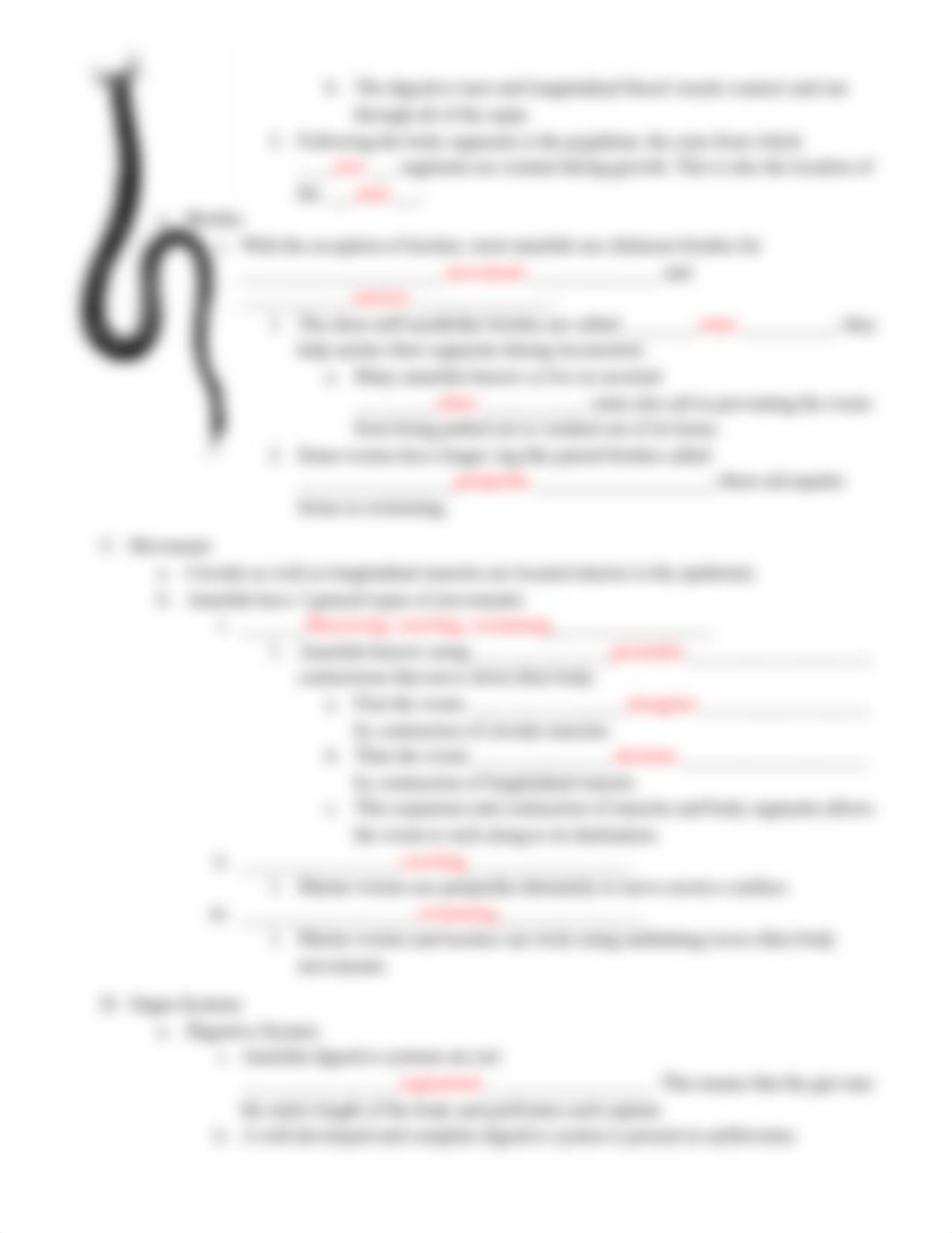 7 _ Annelid Notes _ student handout.docx_dbjmdvo1x1n_page3