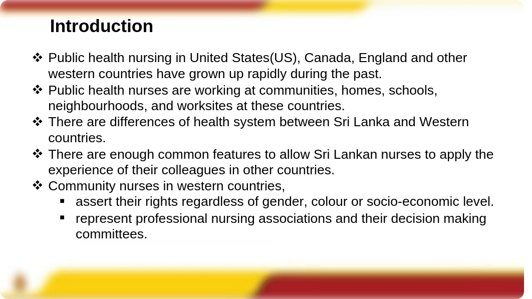 Session 7 Community Health Nursing in Different Countries.pdf_dbjqtgwsybd_page3