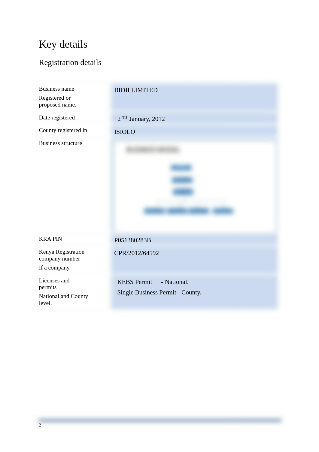 NCGI_ SME_Business plan template 4.docx_dbjt1proo47_page4