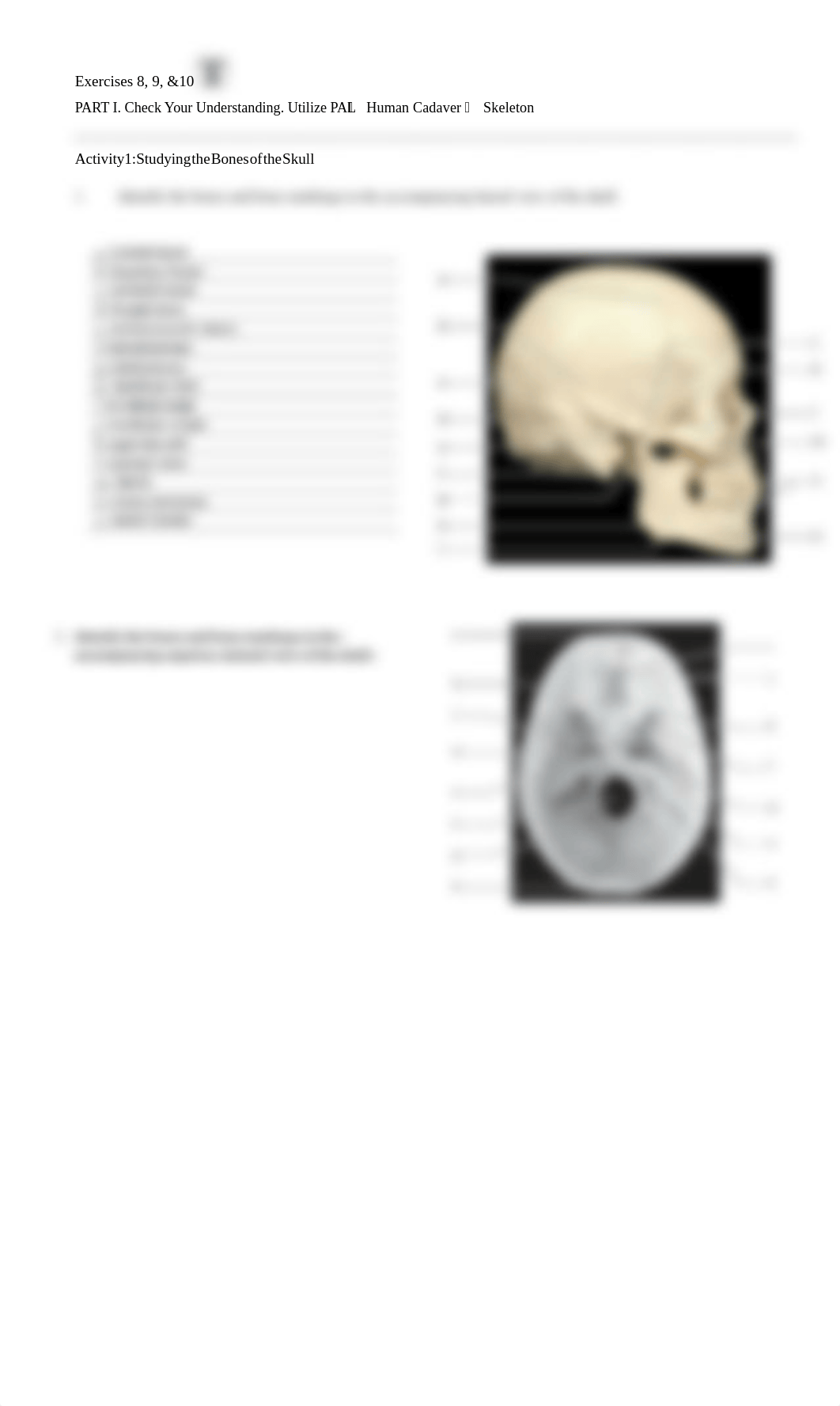 5. Unit 5 laboratory exercise 8, 9, & 10 EDIt SIMS.pdf_dbk05ykqg37_page3