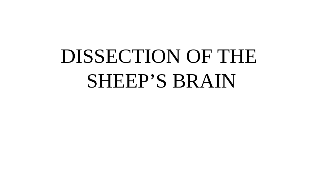 DISSECTION OF THE SHEEP'S BRAIN.pptx_dbk5vix8ydb_page1