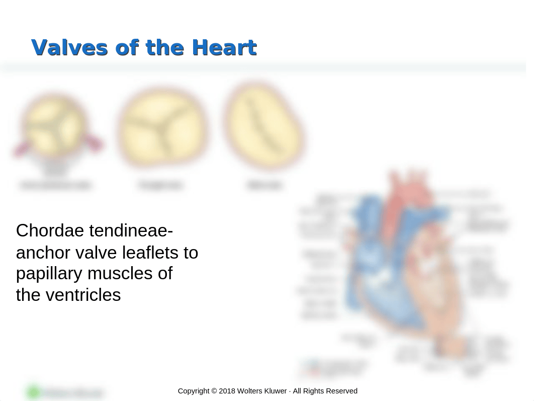 NURS301 Ch 28 ppt student copy  (1).pptx_dbk8u0gxpng_page3