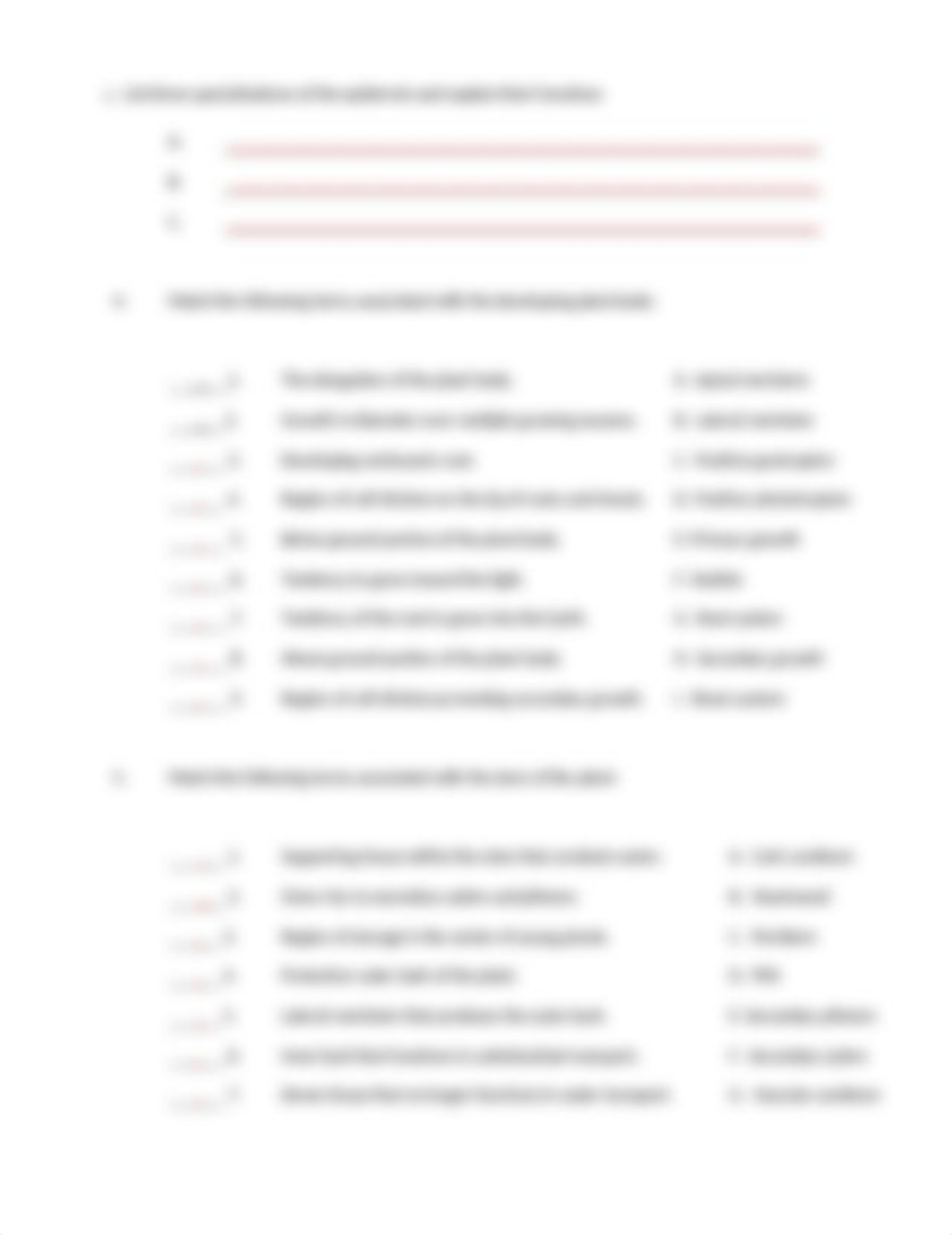 Plant Structure Lab Exercise (1)_dbkan38788x_page2