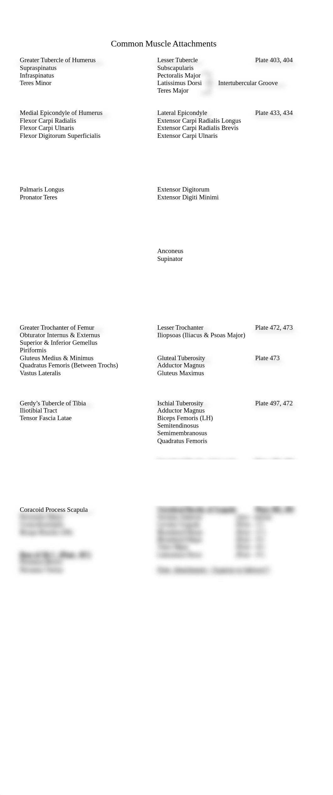 Muscles By Common Attach Points_dbkd99pzqsf_page1