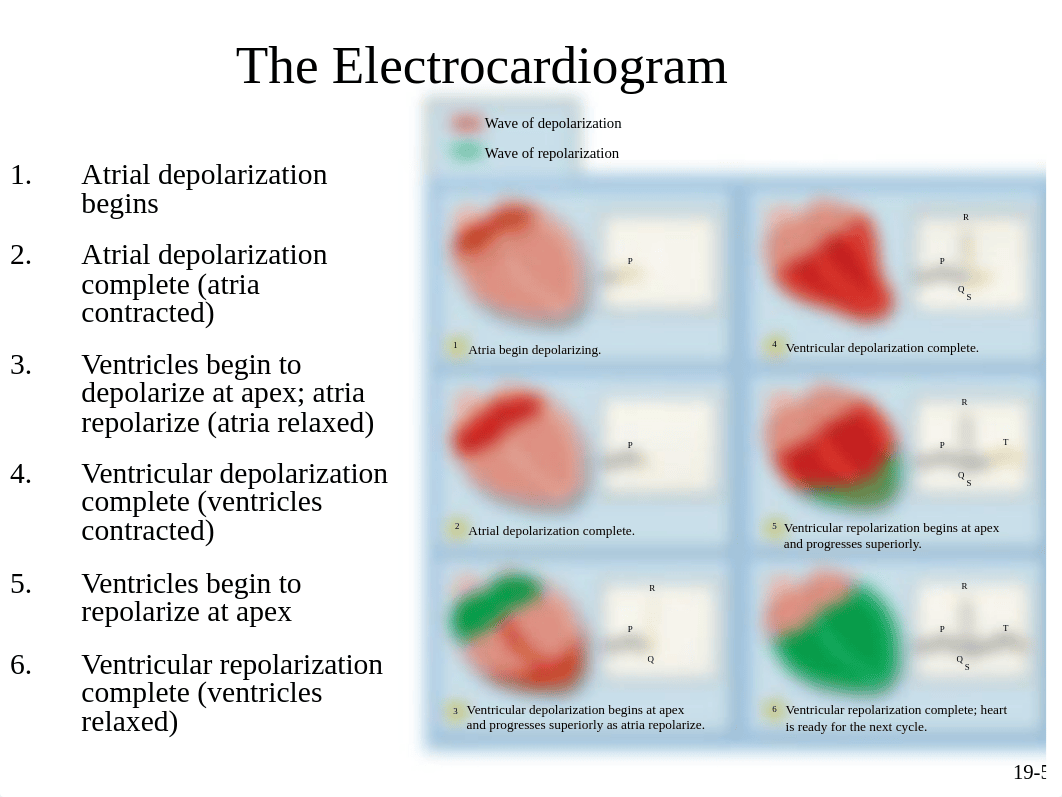 chapt19_Lecture 3 - Student version (1).ppt_dbkh88ci5ed_page5