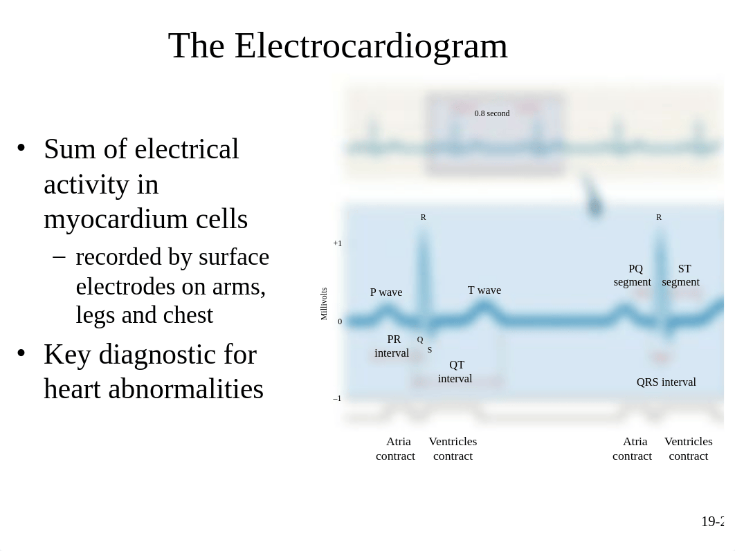 chapt19_Lecture 3 - Student version (1).ppt_dbkh88ci5ed_page2