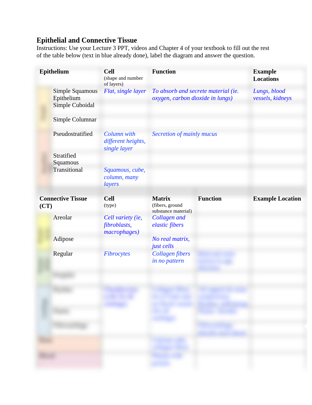 Tissue type.pdf_dbko0ovmmry_page1