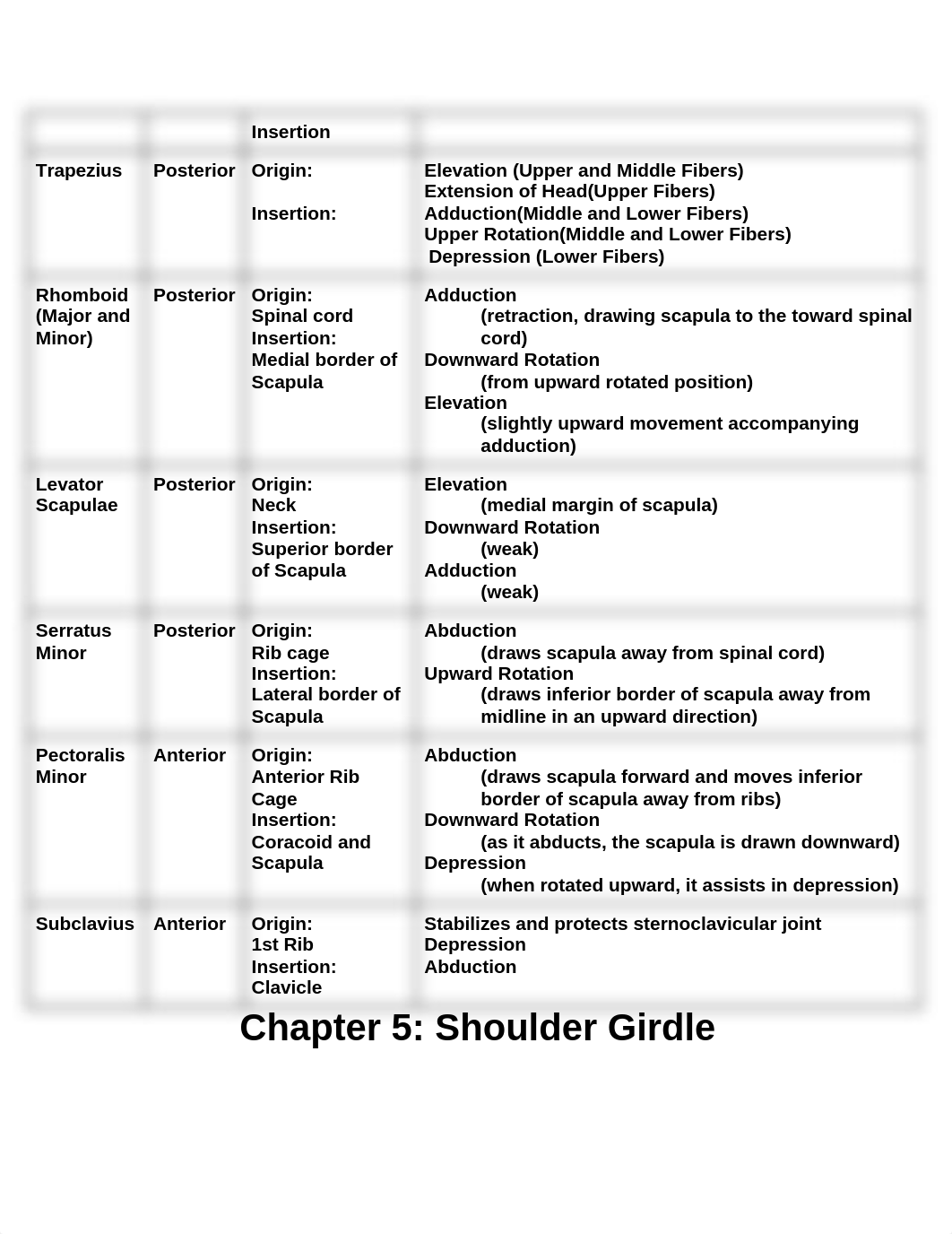 Kinesiology Notes_dbkq8ns7rpn_page4