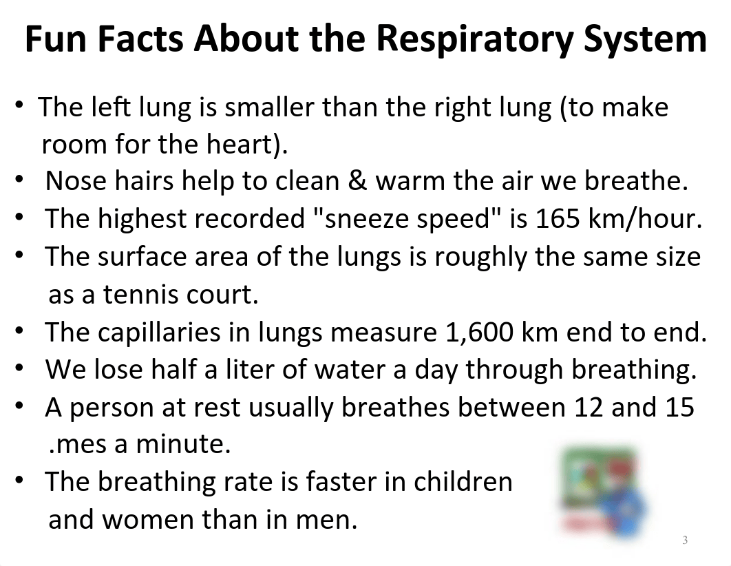 Respiratory System Class Notes.pdf_dbkxjf05det_page3