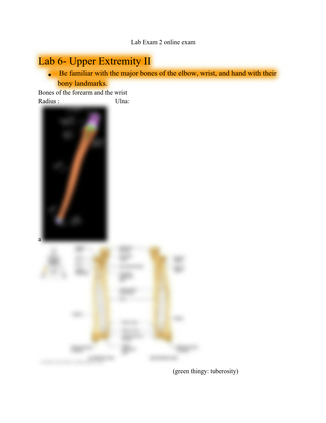 Lab Exam 2-2.pdf_dbkyavwnd1z_page1