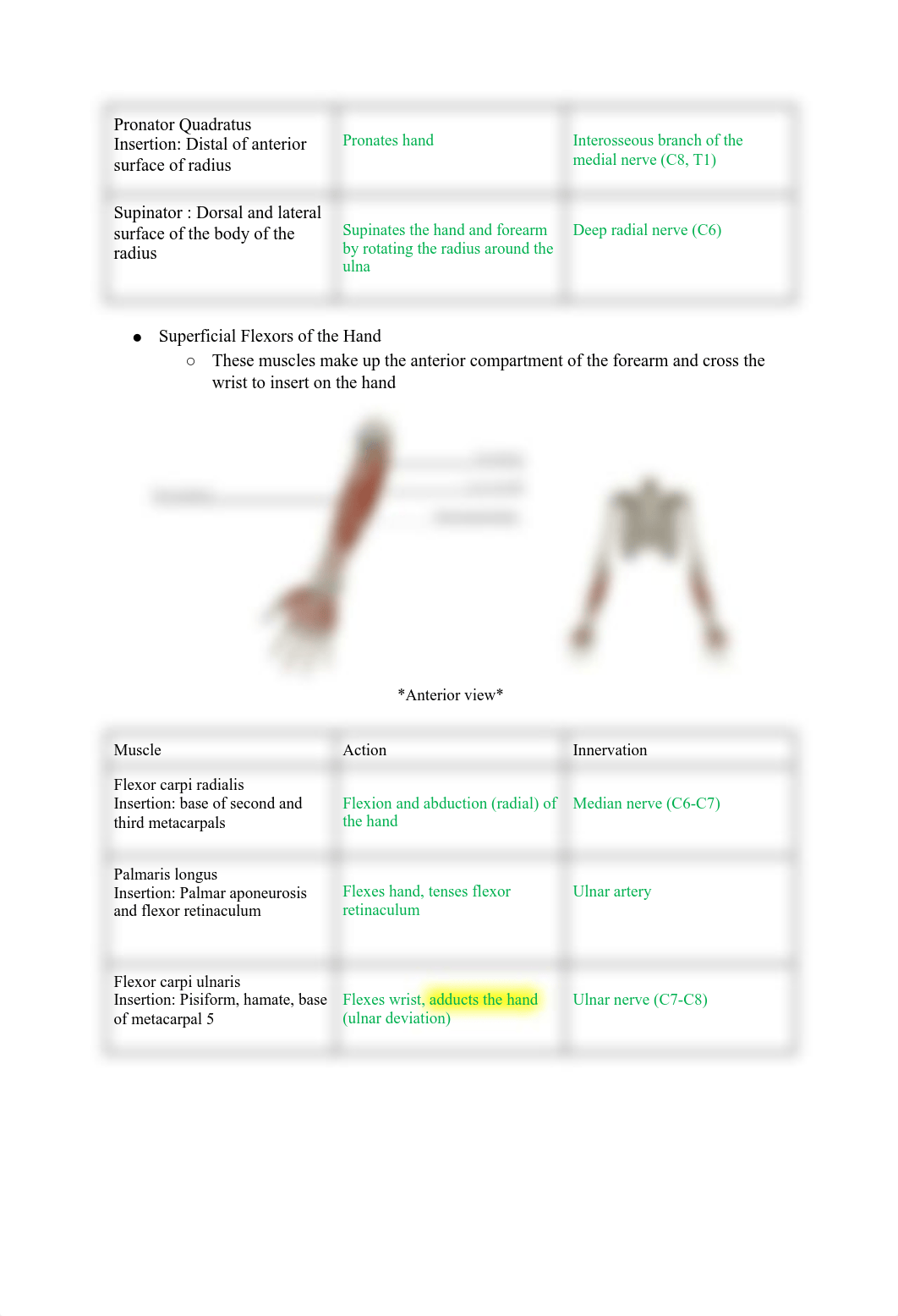 Lab Exam 2-2.pdf_dbkyavwnd1z_page5