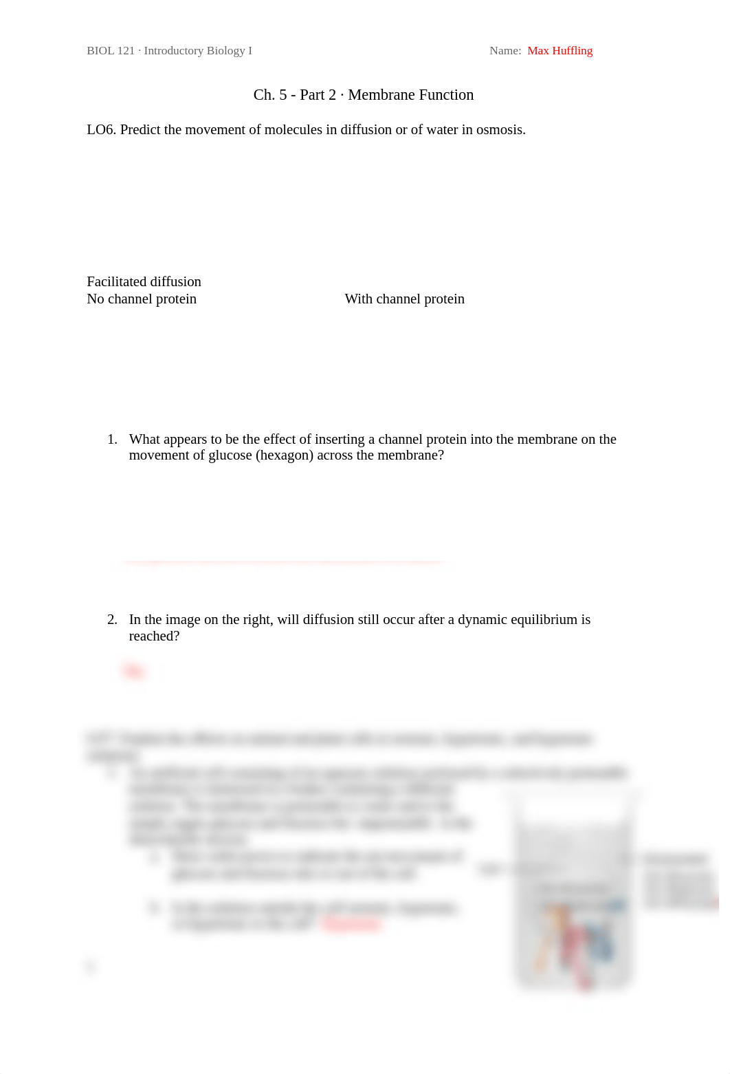 Ch. 5_2 Membrane Function - Max Huffling.docx_dbl06uo3q4j_page1