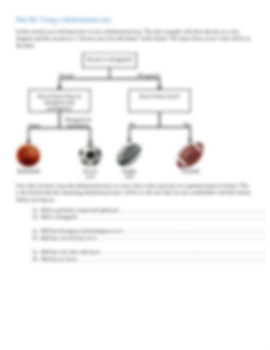 STEVENS_Lab2_BIOL1113.docx_dbl8em1xsvc_page4