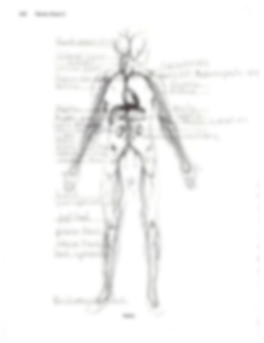 homeworkweek5blood vessels.pdf_dbl9kebwg00_page3