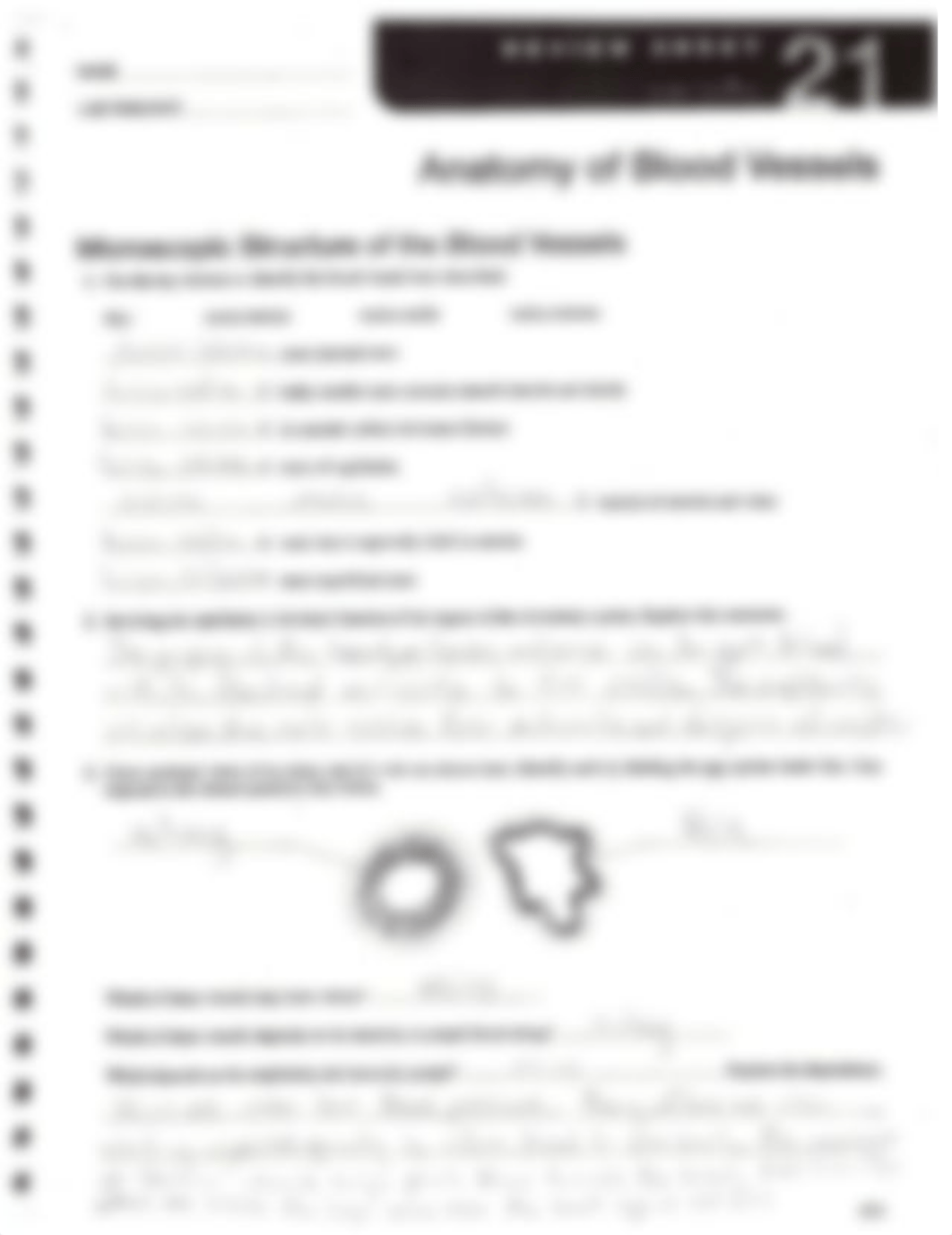 homeworkweek5blood vessels.pdf_dbl9kebwg00_page1