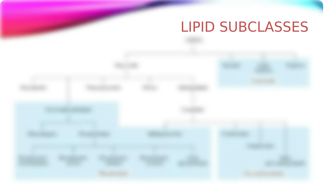 BCHM 421 BIOCHEMISTRY- LIPIDS - presentation version.pptx_dbl9z52xjq8_page5