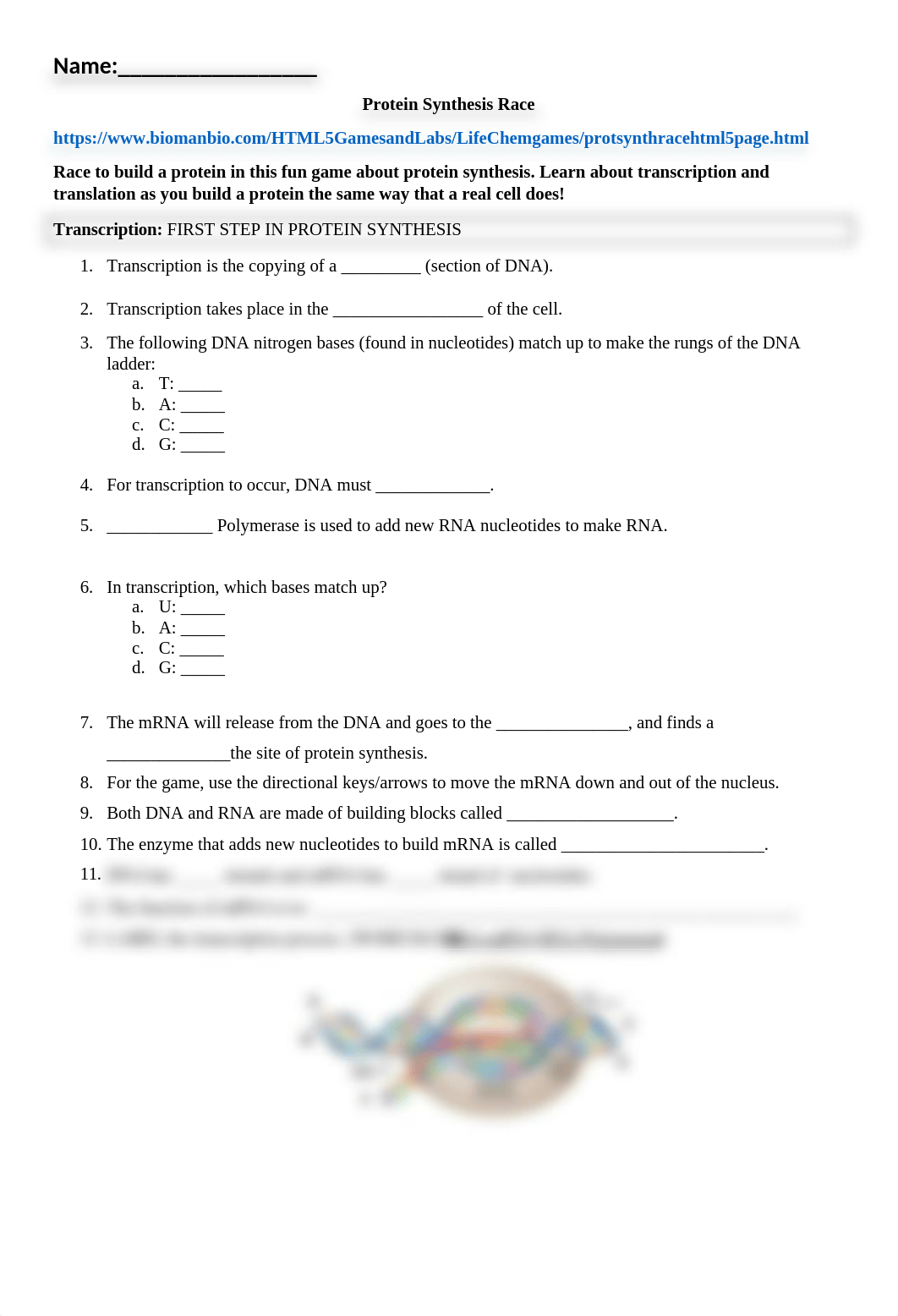 Copy of Protein Synthesis Race.docx_dblcek6ukm3_page1