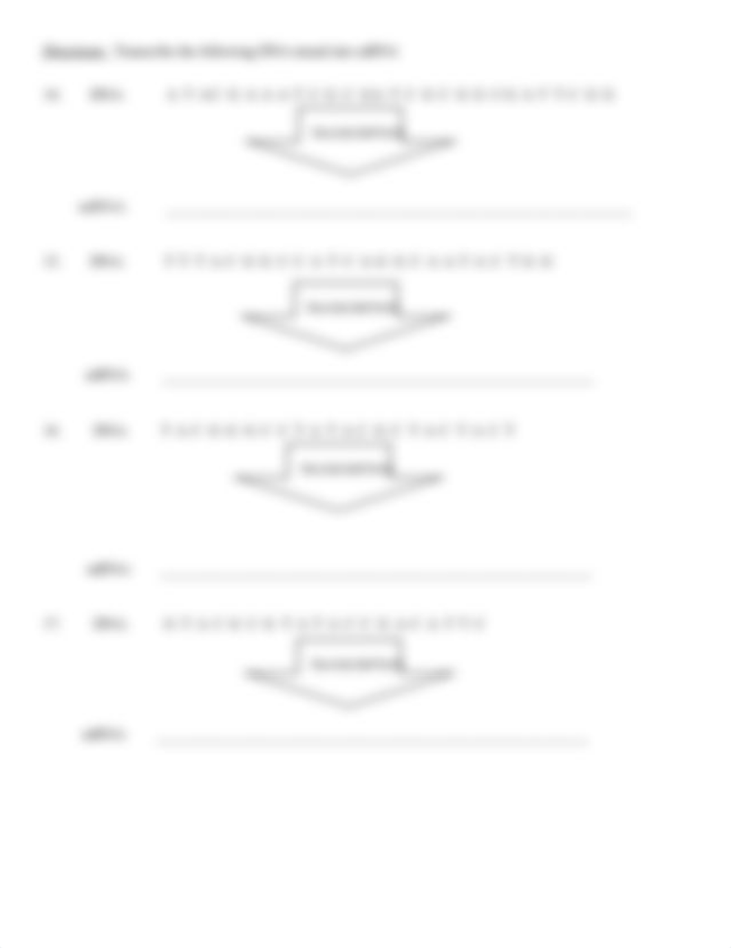 Copy of Protein Synthesis Race.docx_dblcek6ukm3_page2