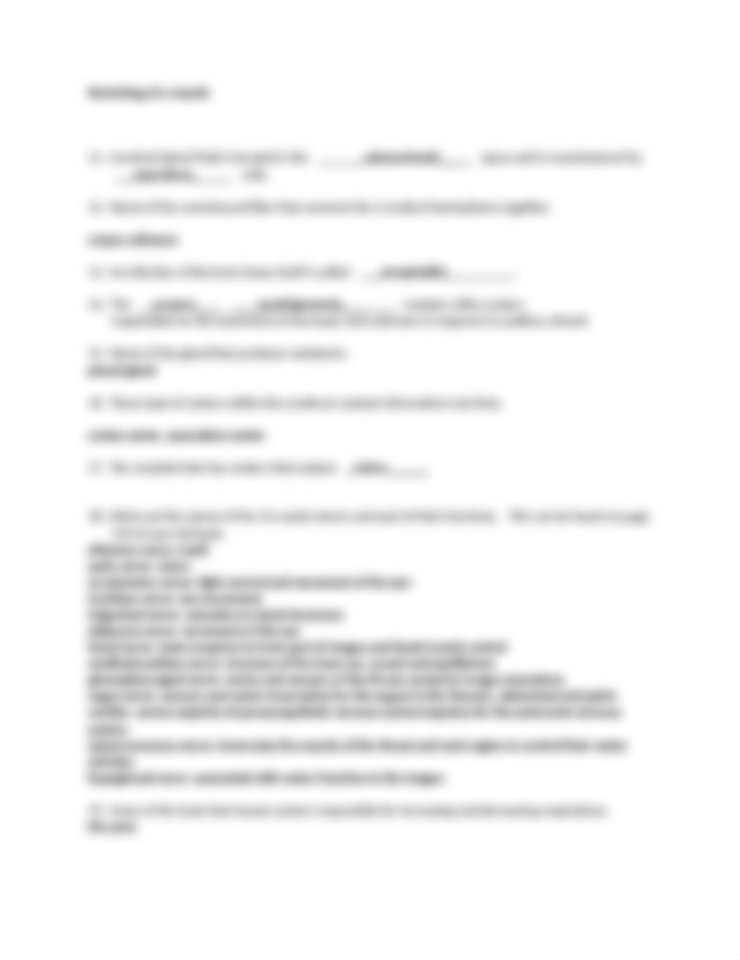 Nervous System Worksheet (1).docx_dblit7knu33_page2