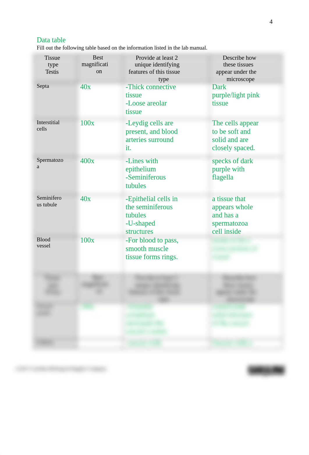 Thompson_Introduction to Histology_Reproductive system answer sheet.docx_dblpn1oyhxp_page4