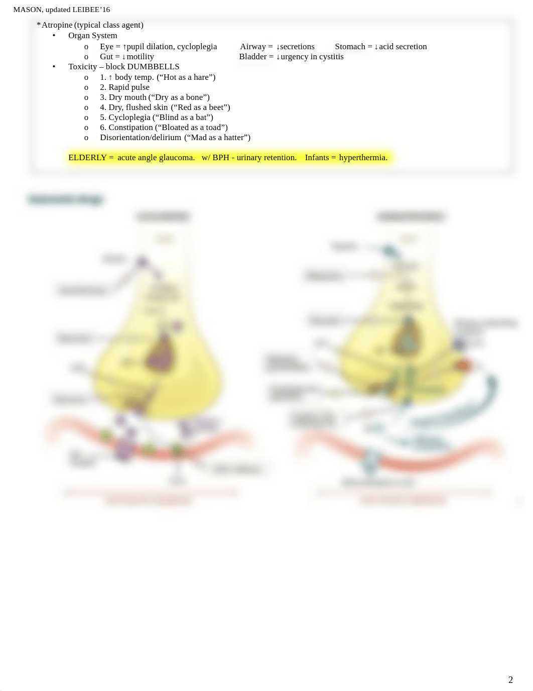 Pharm drug chart Step 1 Vee.pdf_dblxtwd5x75_page2