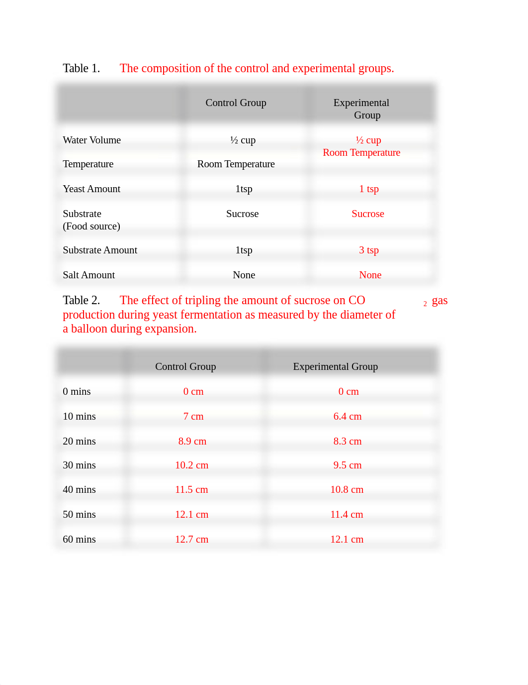 Fermentation & Photosynthesis Scientific Report.docx_dblylag48ig_page3