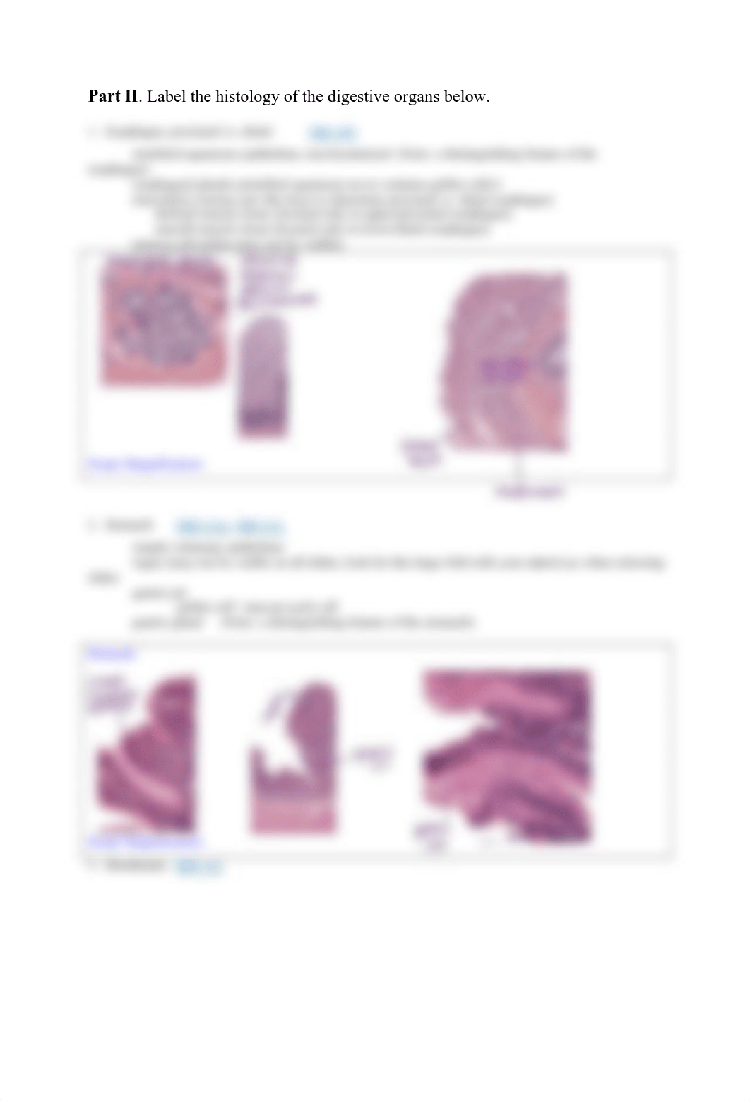 Lab HW 11 Hybrid Digestive System.pdf_dbm0eod6owa_page2