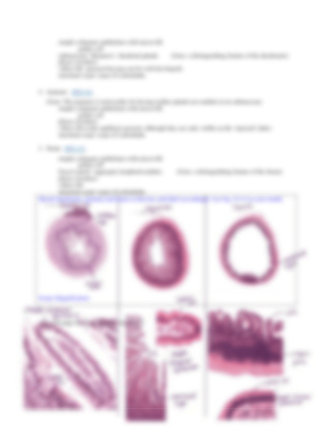 Lab HW 11 Hybrid Digestive System.pdf_dbm0eod6owa_page3