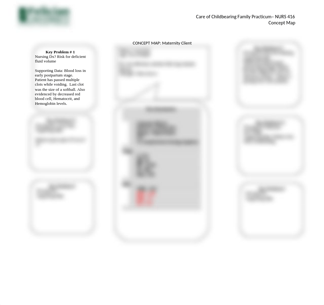 NURS 416 Concept Map.docx_dbm39osn8m0_page2