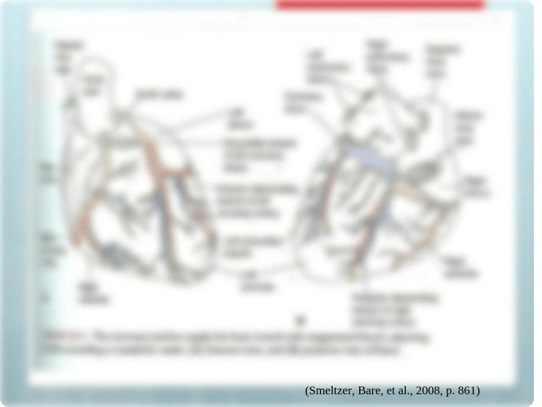 Care of patients with Acute Coronary Syndromes Ch  38 NUR 495student.pptx_dbm3ifdl5xm_page4