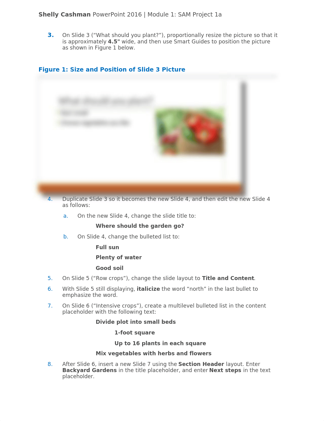 Instructions_SC_PPT16_1a_dbm3zo0t8y4_page2